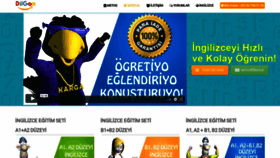 What Dilgoo.com website looked like in 2019 (5 years ago)