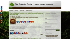 What Diyprobioticfoods.com website looked like in 2019 (5 years ago)