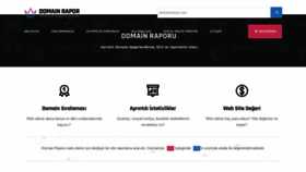 What Domainrapor.com website looked like in 2019 (4 years ago)