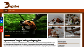 What Doginfos.com website looked like in 2019 (4 years ago)