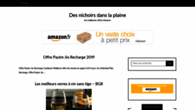 What Desnichoirsdanslaplaine.fr website looked like in 2019 (4 years ago)