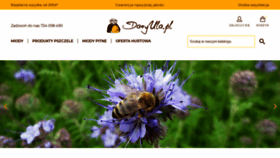 What Daryula.pl website looked like in 2019 (4 years ago)