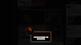 What Dogsindanger.com website looked like in 2019 (4 years ago)