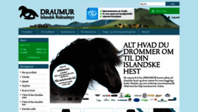 What Draumur.dk website looked like in 2019 (4 years ago)