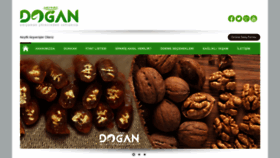 What Dogangida.com website looked like in 2019 (4 years ago)