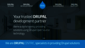 What Drupalcentric.solutions website looked like in 2019 (4 years ago)
