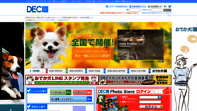 What Doglife.info website looked like in 2019 (4 years ago)