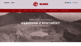 What Drbuzgi.sk website looked like in 2019 (4 years ago)