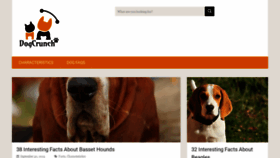 What Dogcrunch.com website looked like in 2019 (4 years ago)