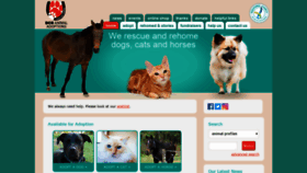 What Dchanimalrescue.org.au website looked like in 2019 (4 years ago)
