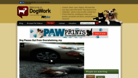 What Dogwork.com website looked like in 2019 (4 years ago)