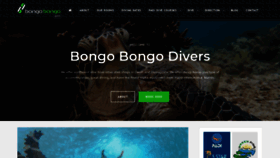 What Divebongo.com website looked like in 2019 (4 years ago)