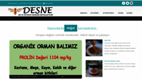 What Desne.com.tr website looked like in 2019 (4 years ago)
