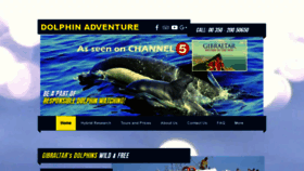 What Dolphin.gi website looked like in 2019 (4 years ago)