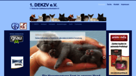 What Dekzv.de website looked like in 2019 (4 years ago)