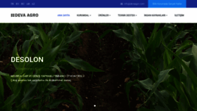 What Devaagro.com website looked like in 2019 (4 years ago)