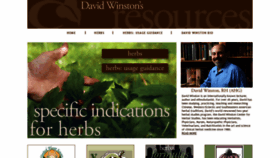 What Davidwinston.org website looked like in 2019 (4 years ago)