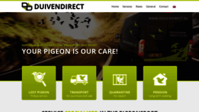 What Duivendirect.nl website looked like in 2019 (4 years ago)