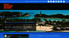 What Dolphinencounters.com website looked like in 2019 (4 years ago)