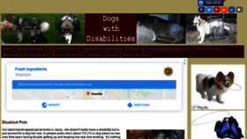 What Dogswithdisabilities.com website looked like in 2019 (4 years ago)