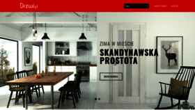 What Drzwi.pl website looked like in 2019 (4 years ago)
