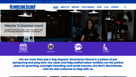 What Dthound.com website looked like in 2019 (4 years ago)