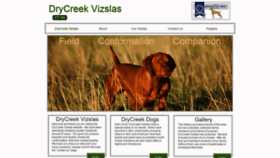 What Drycreekvizslas.com website looked like in 2019 (4 years ago)