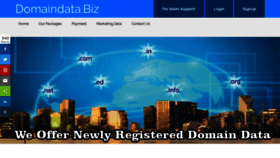 What Domaindata.biz website looked like in 2019 (4 years ago)