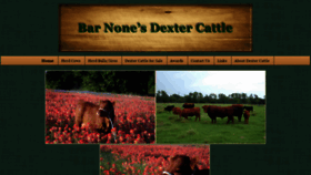 What Dextercattleintexas.com website looked like in 2019 (4 years ago)