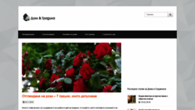 What Domgradina.net website looked like in 2019 (4 years ago)