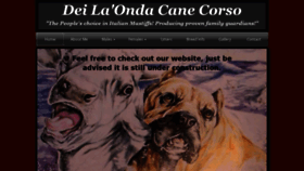 What Deilaonda.com website looked like in 2019 (4 years ago)