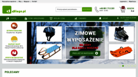 What Dilego.pl website looked like in 2019 (4 years ago)