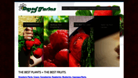 What Daisyfarms.net website looked like in 2019 (4 years ago)