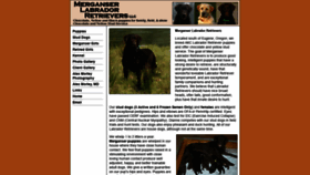 What Duckdog.com website looked like in 2019 (4 years ago)