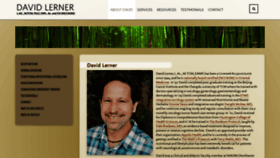 What David-lerner.com website looked like in 2019 (4 years ago)