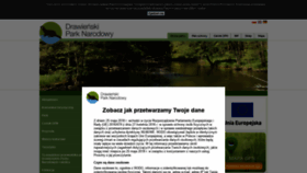 What Dpn.pl website looked like in 2019 (4 years ago)