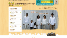 What Den-hasegawa.com website looked like in 2020 (4 years ago)