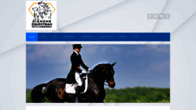 What Diamond-equestrian.co.uk website looked like in 2020 (4 years ago)