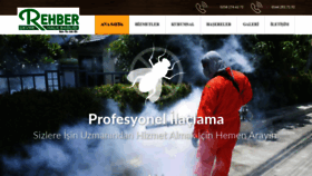 What Denizliilaclama.com website looked like in 2020 (4 years ago)