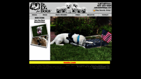 What Drd4dogs.com website looked like in 2020 (4 years ago)