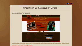 What Domainehaisha.com website looked like in 2020 (4 years ago)