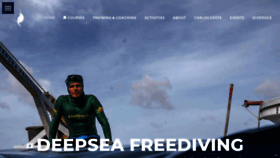 What Deepseabonaire.com website looked like in 2020 (4 years ago)