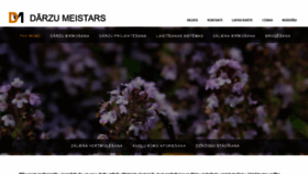 What Darzumeistars.lv website looked like in 2020 (4 years ago)