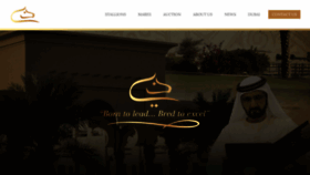 What Dubaiarabianstud.com website looked like in 2020 (4 years ago)
