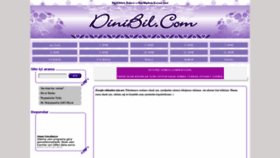 What Dinibil.com website looked like in 2020 (4 years ago)