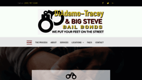 What Diadamoandtraceybailbonds.com website looked like in 2020 (4 years ago)