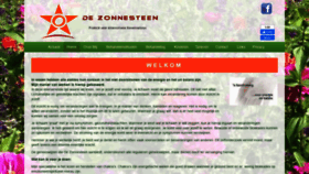 What Dezonnesteen.nl website looked like in 2020 (4 years ago)