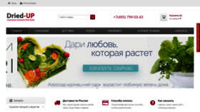 What Dried-up.ru website looked like in 2020 (4 years ago)