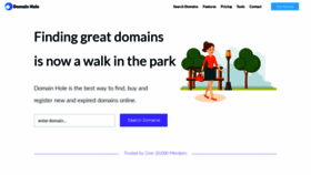 What Domainhole.com website looked like in 2020 (4 years ago)