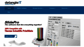 What Detangleit.com website looked like in 2020 (4 years ago)